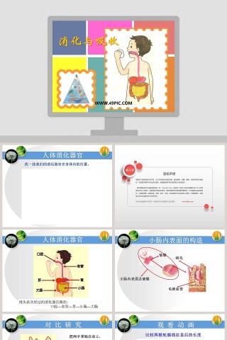消化与吸收教学ppt课件