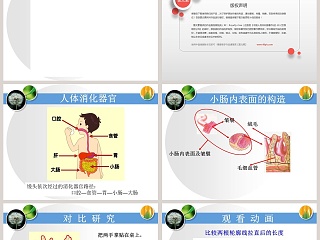 消化与吸收教学ppt课件