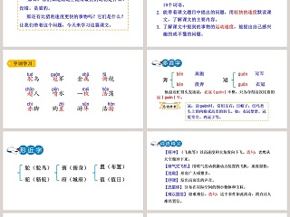 课文解析五年级语文上册什么比猎豹的速度更快语文课件PPT