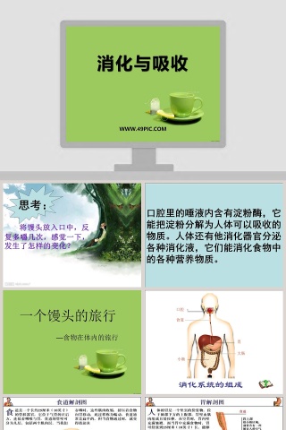 消化与吸收教学ppt课件