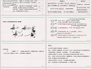 第-节孟德尔的豌豆杂交实验教学ppt课件