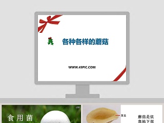 各种各样的工具ppt