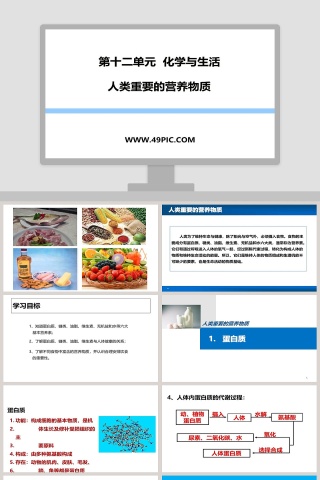 第十二单元  化学与生活-人类重要的营养物质教学ppt课件
