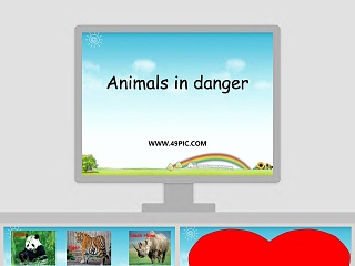 Animals in danger教学ppt课件