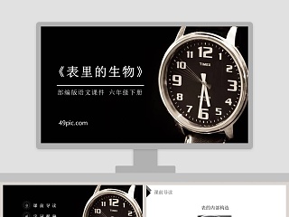 表里的生物ppt课件状元大课堂