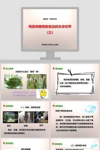 教科版六年级下册PPT模板大全