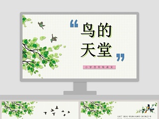 四年级语文课件《鸟的天堂》PPT