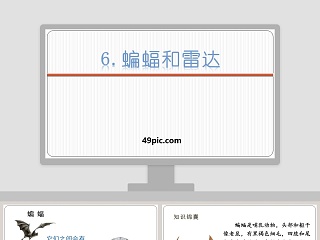 课文解析蝙蝠和雷达语文课件PPT