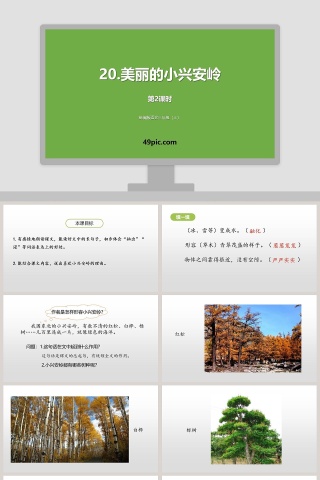 部编版语文三年级上册美丽的小兴安岭PPT课件