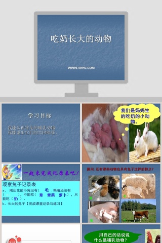 吃奶长大的动物教学ppt课件