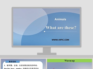 What are these-Animals - 动物_classification_PPT模板内容