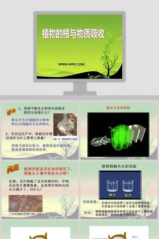 植物的根与物质吸收教学ppt课件