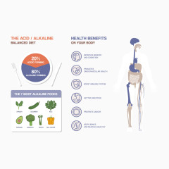健康饮食分析图表