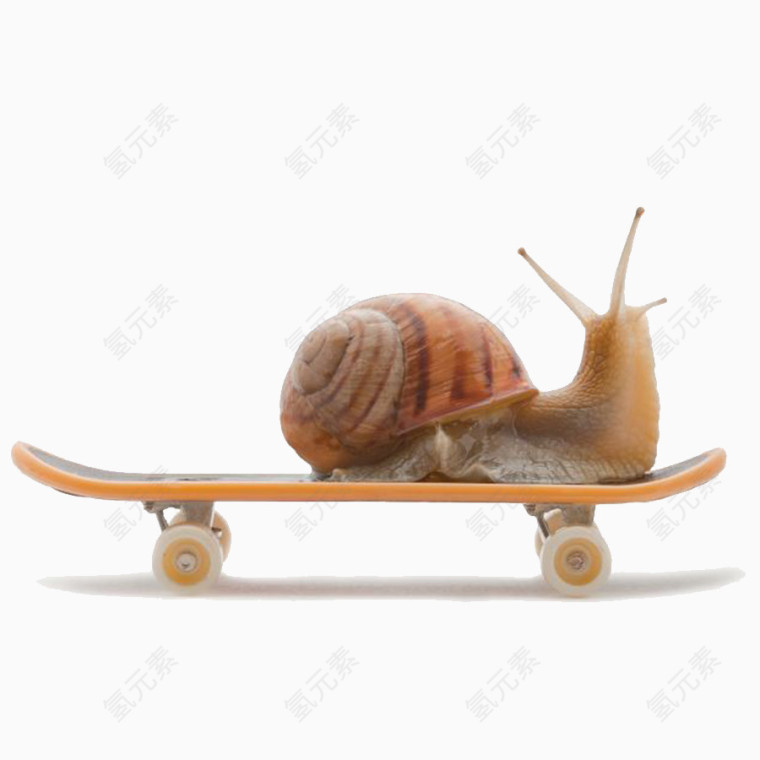 坐在滑板上的蜗牛