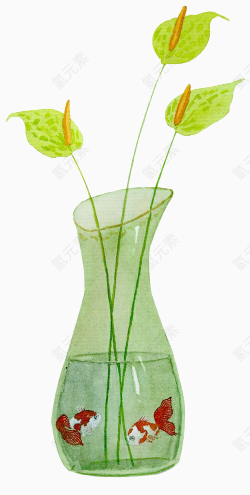 植物水瓶