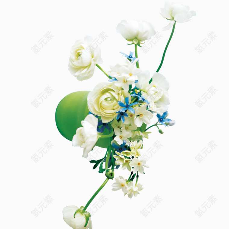 花朵白色蓝色花朵