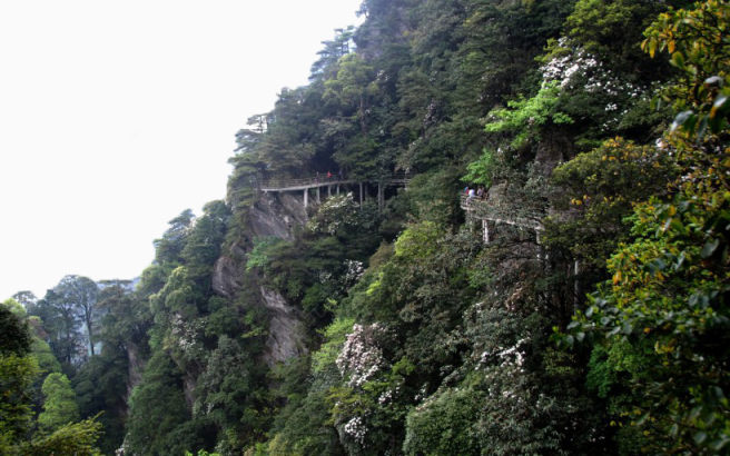 江西井冈山风景七下载