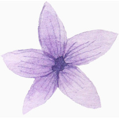 卡通手绘细尖花瓣的紫色花朵