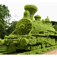 绿色植物火车