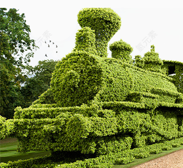 绿色植物火车