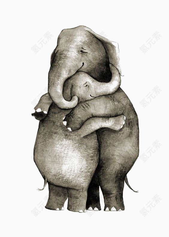 拥抱的大象