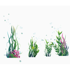 海洋海藻类植物物和水泡