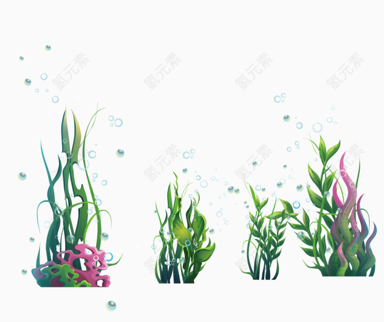 海洋海藻类植物物和水泡