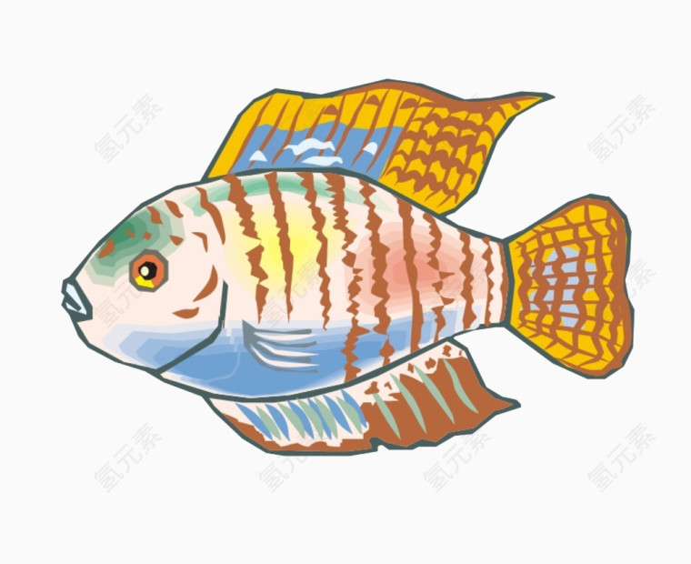 彩绘金鱼