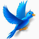 飞行鸟推特动物社会网络社会锡我的网站