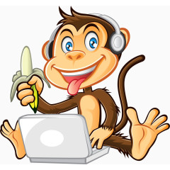 玩电脑的猴子