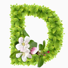 春意盎然的绿叶花卉字母D 