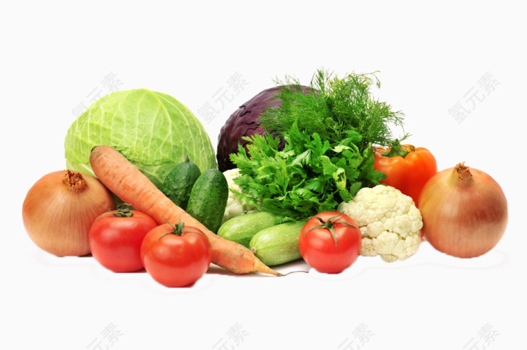 多种蔬菜