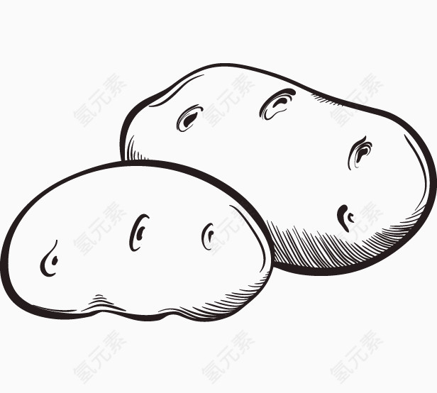 手绘蔬菜系列:马铃薯
