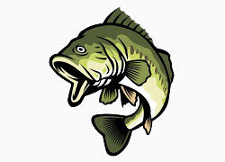 卡通手绘张开嘴的绿色鱼