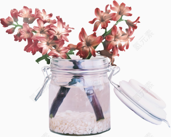 玻璃瓶里的鲜花