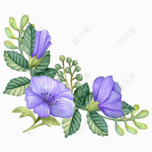 手绘水彩紫色鲜花图片