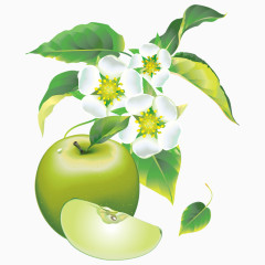 卡通手绘花卉植物青苹果