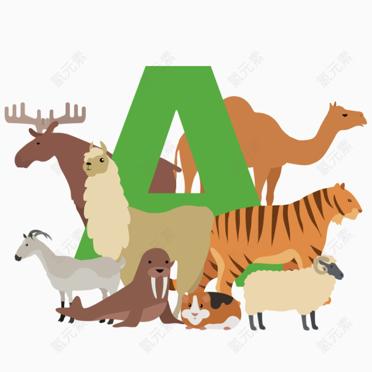 动物字母A