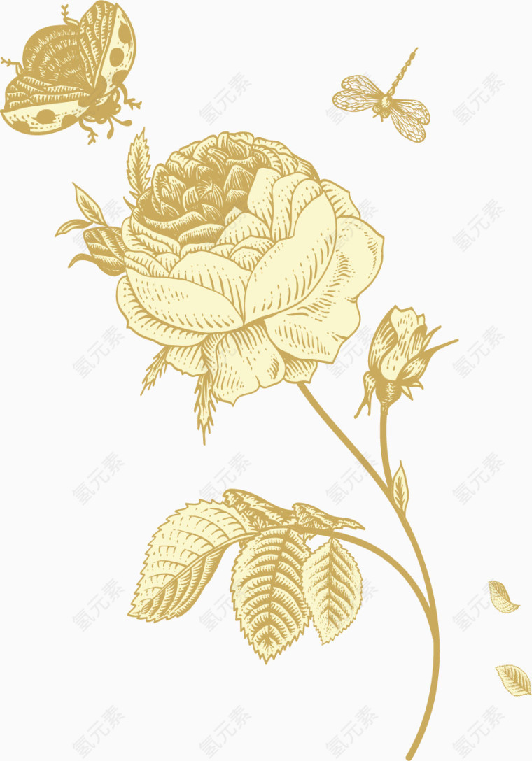 矢量金色玫瑰素材图片