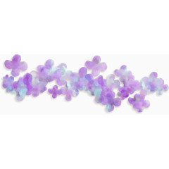 紫色花藤