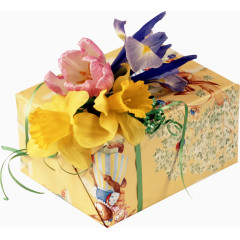 水仙花礼盒