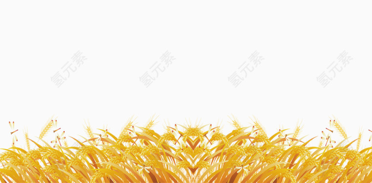 小麦地