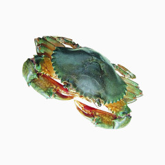 新鲜海鲜大螃蟹PNG元素