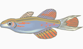 卡通热带鱼长紫黄小鱼