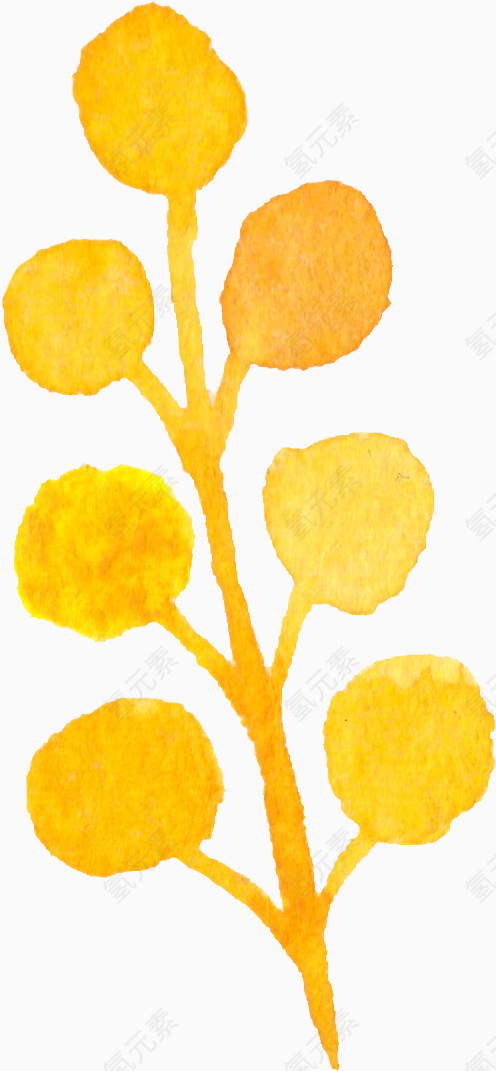 水彩画黄朵