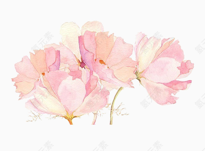 手绘卡通水墨粉色花朵