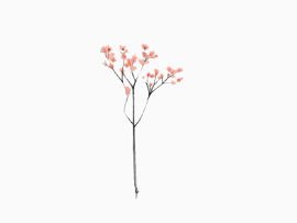 花卉树