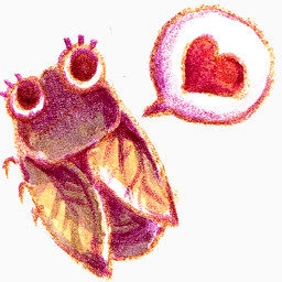 邮件紫罗兰色的文件夹summer-love-icons