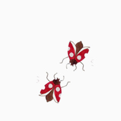 清新简约手绘红色甲虫
