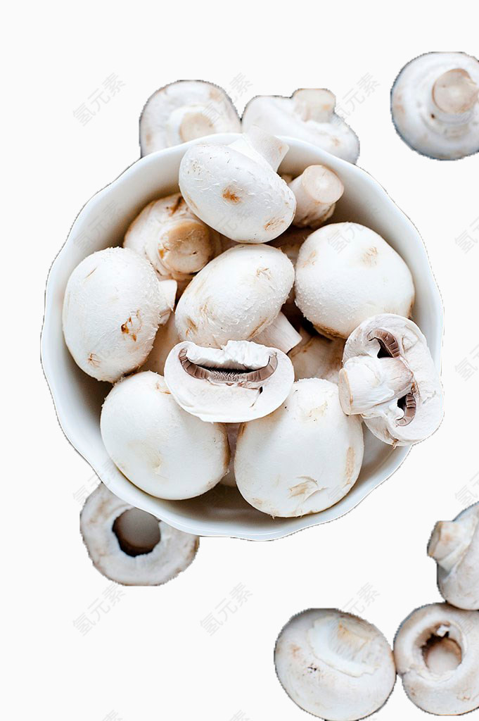 白色平菇